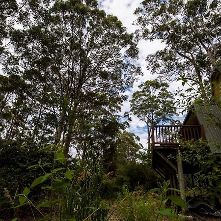 Green Leaves Cabin Denmark Exterior photo