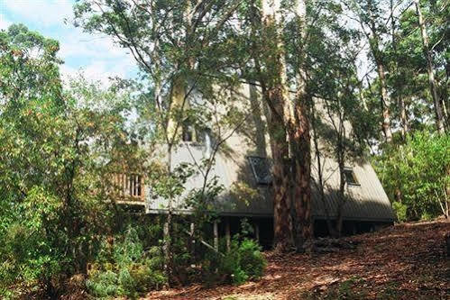 Green Leaves Cabin Denmark Exterior photo