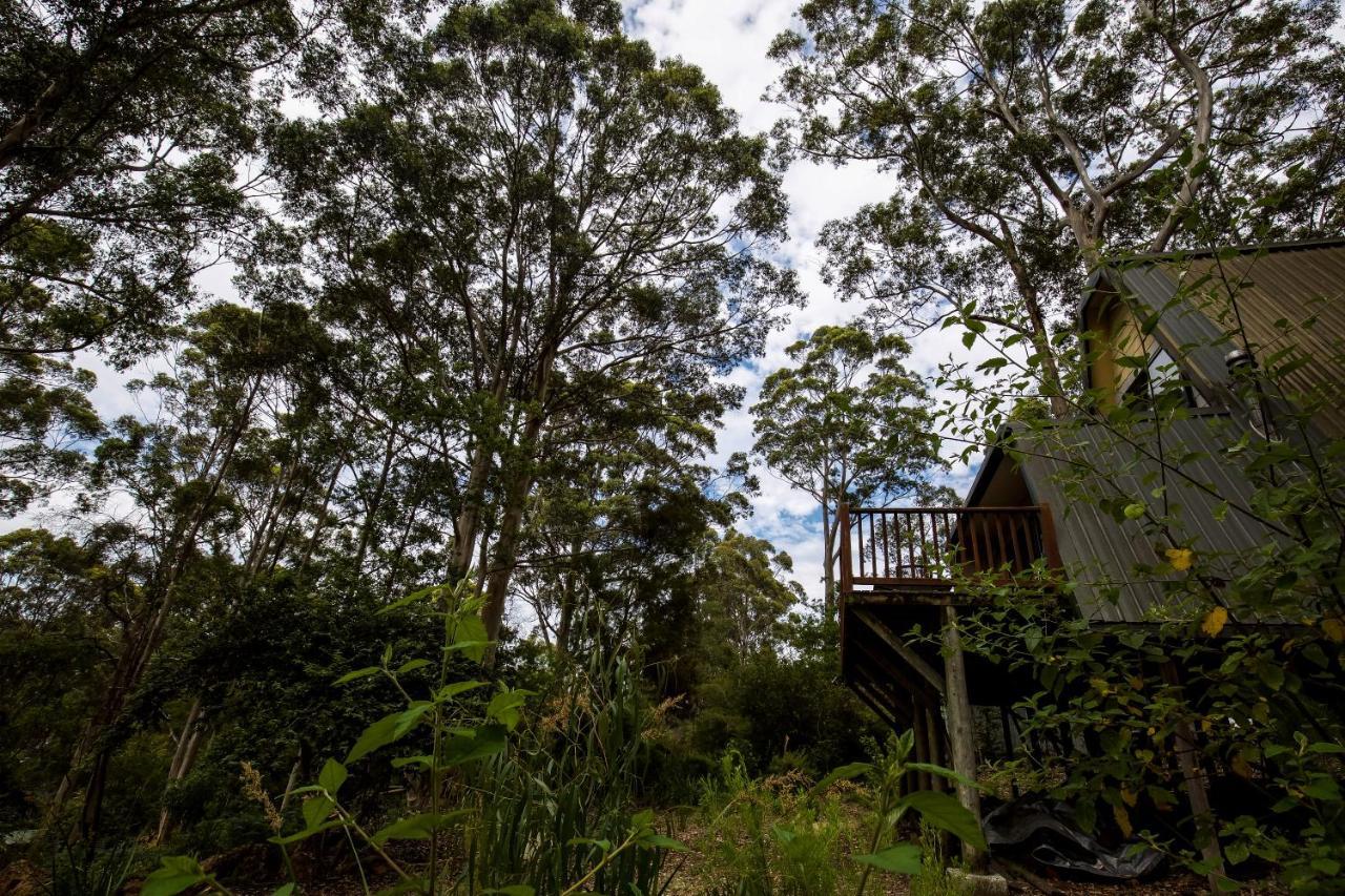 Green Leaves Cabin Denmark Exterior photo